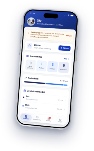 DogPass app on an iPhone: training overview with commands, progress, and recent sessions